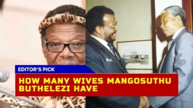 What Was The Number Of Wives Of Mangosuthu Buthelezi The Family Tree Of The Icon Of South Africa
